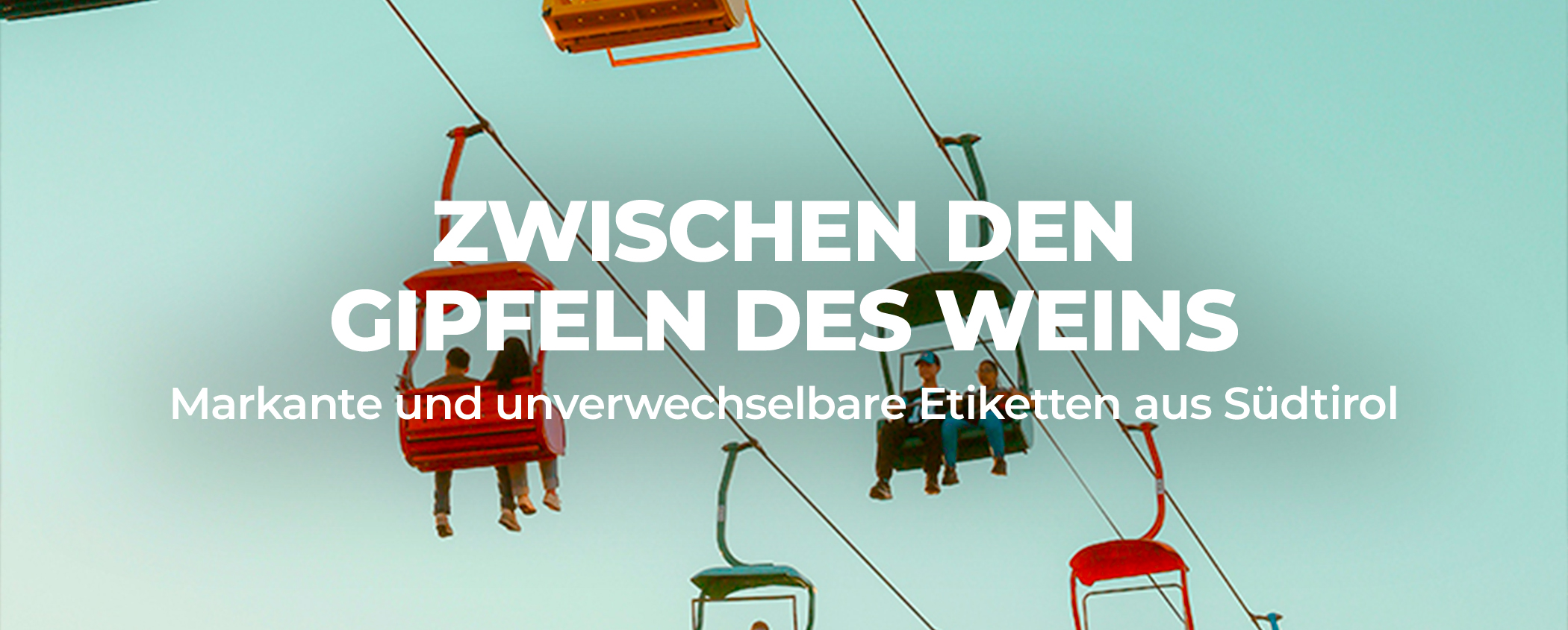 Entdecke die Aktion 