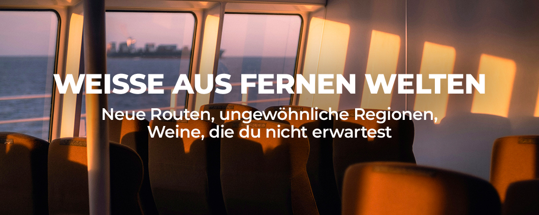 Entdecke die Aktion 