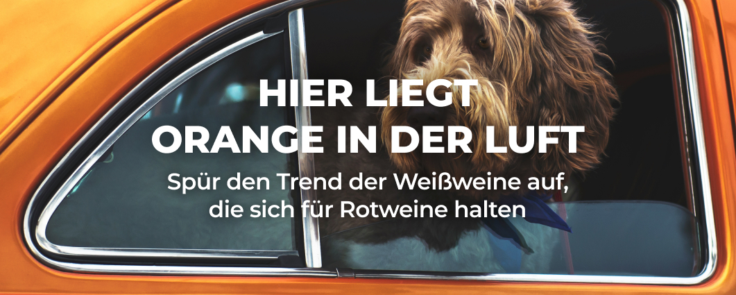 HIER LIEGT ORANGE IN DER LUFT
