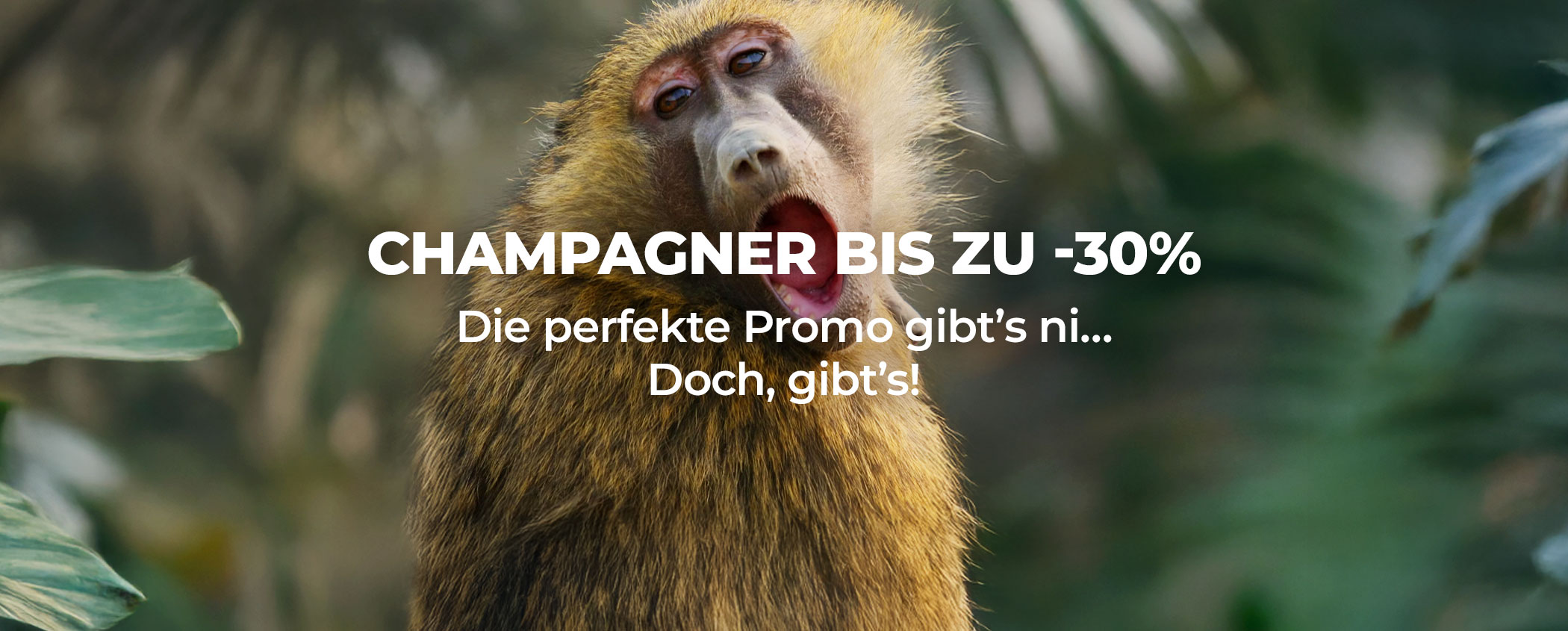 champagner
