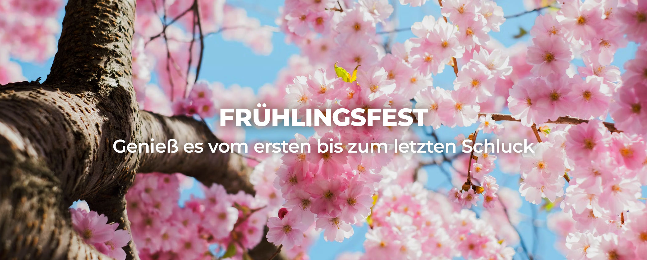 fruhlingsfest