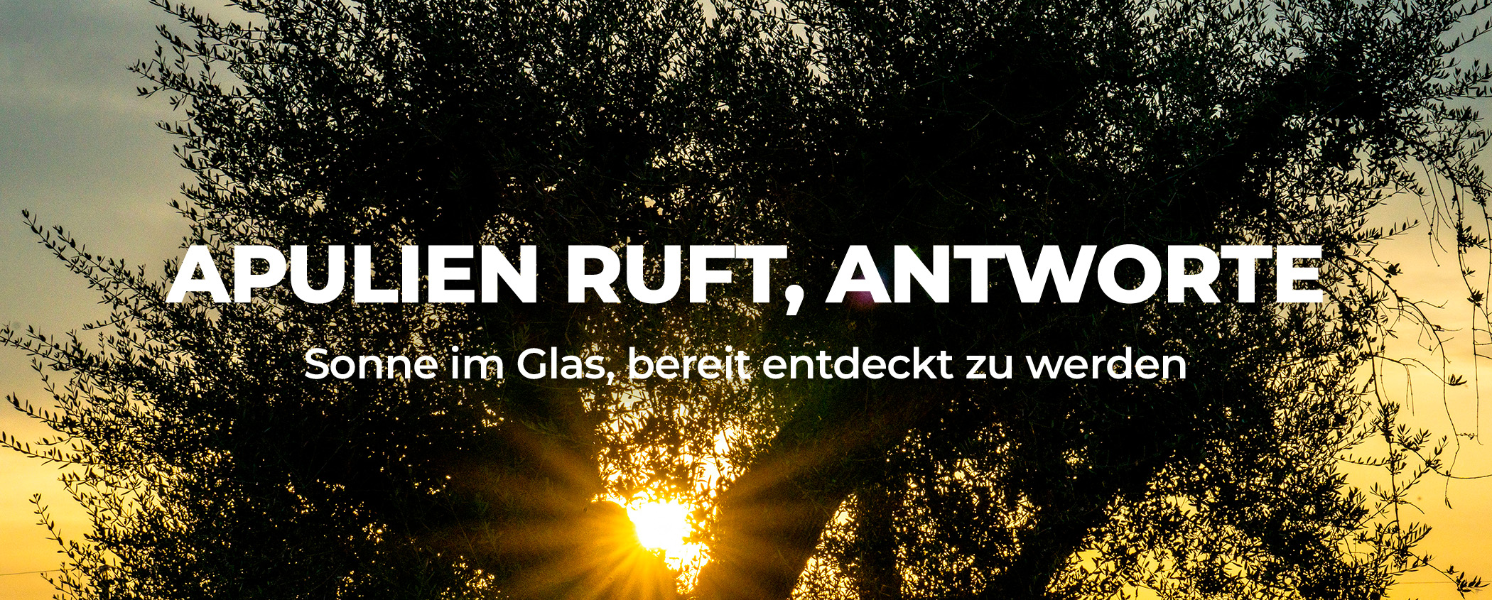 Entdecken APULIEN RUFT, ANTWORTE