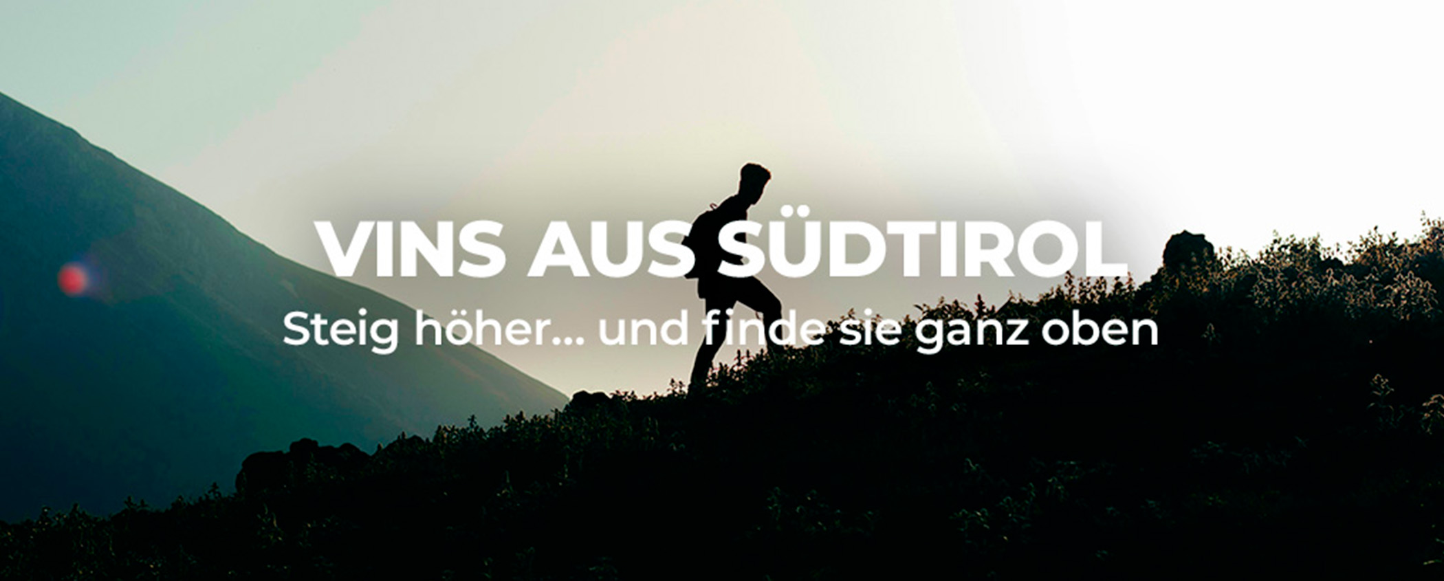 SCHN�R DIE BERGSTIEFEL