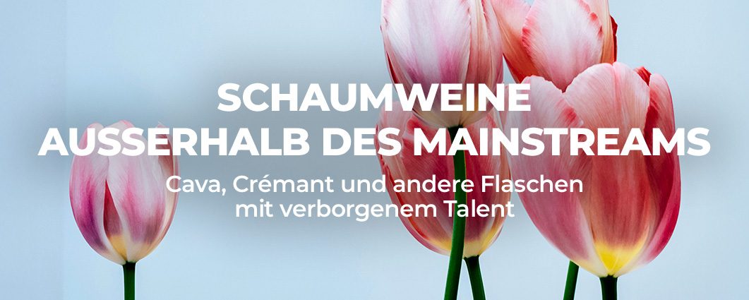 Entdecke SCHAUMWEINE AUSSERHALB DES MAINSTREAMS