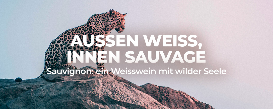 ENTFESSLE DEINE SAUVAGE SEELE